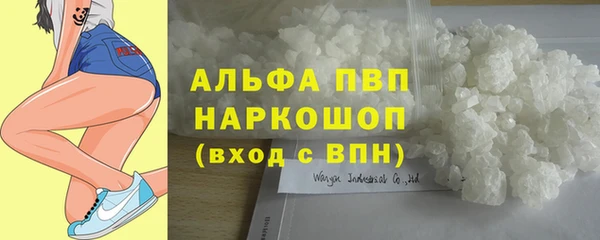 кокс Баксан