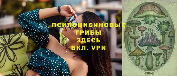 кокс Баксан