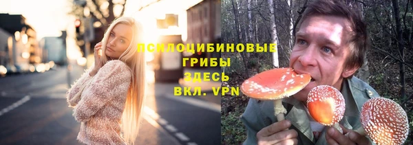 кокс Баксан