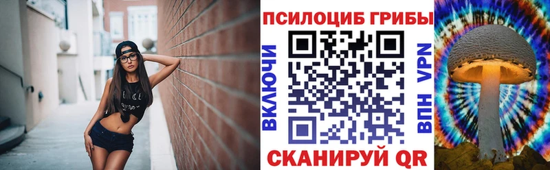 купить  цена  Билибино  Галлюциногенные грибы Cubensis 